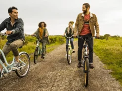 Trek Bikes Townie 7D EQ Step-Thru