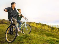 Trek Bikes Townie 7D EQ Step-Thru