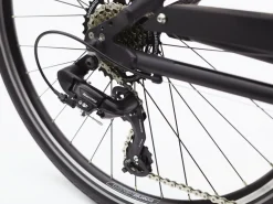 Trek Bikes Townie 7D Step-Over