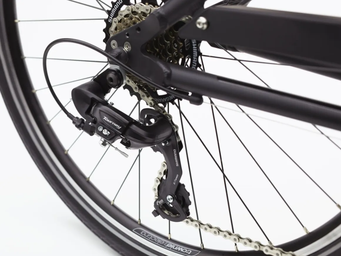 Trek Bikes Townie 7D Step-Over