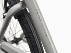 Trek Bikes Townie 7D Step-Over