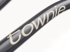 Trek Bikes Townie 7D Step-Thru