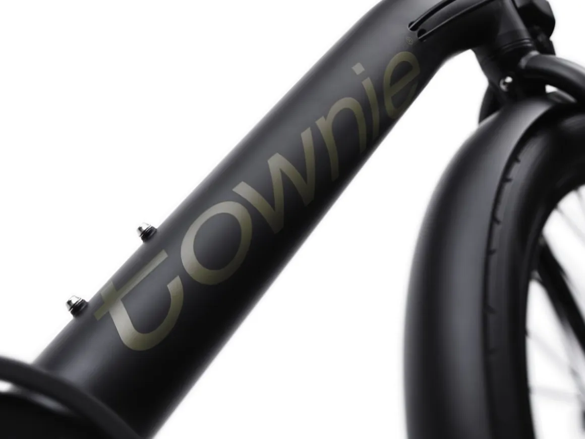 Trek Bikes Townie Go! 7D EQ Step-Over