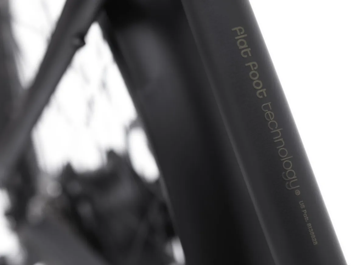 Trek Bikes Townie Go! 7D EQ Step-Over