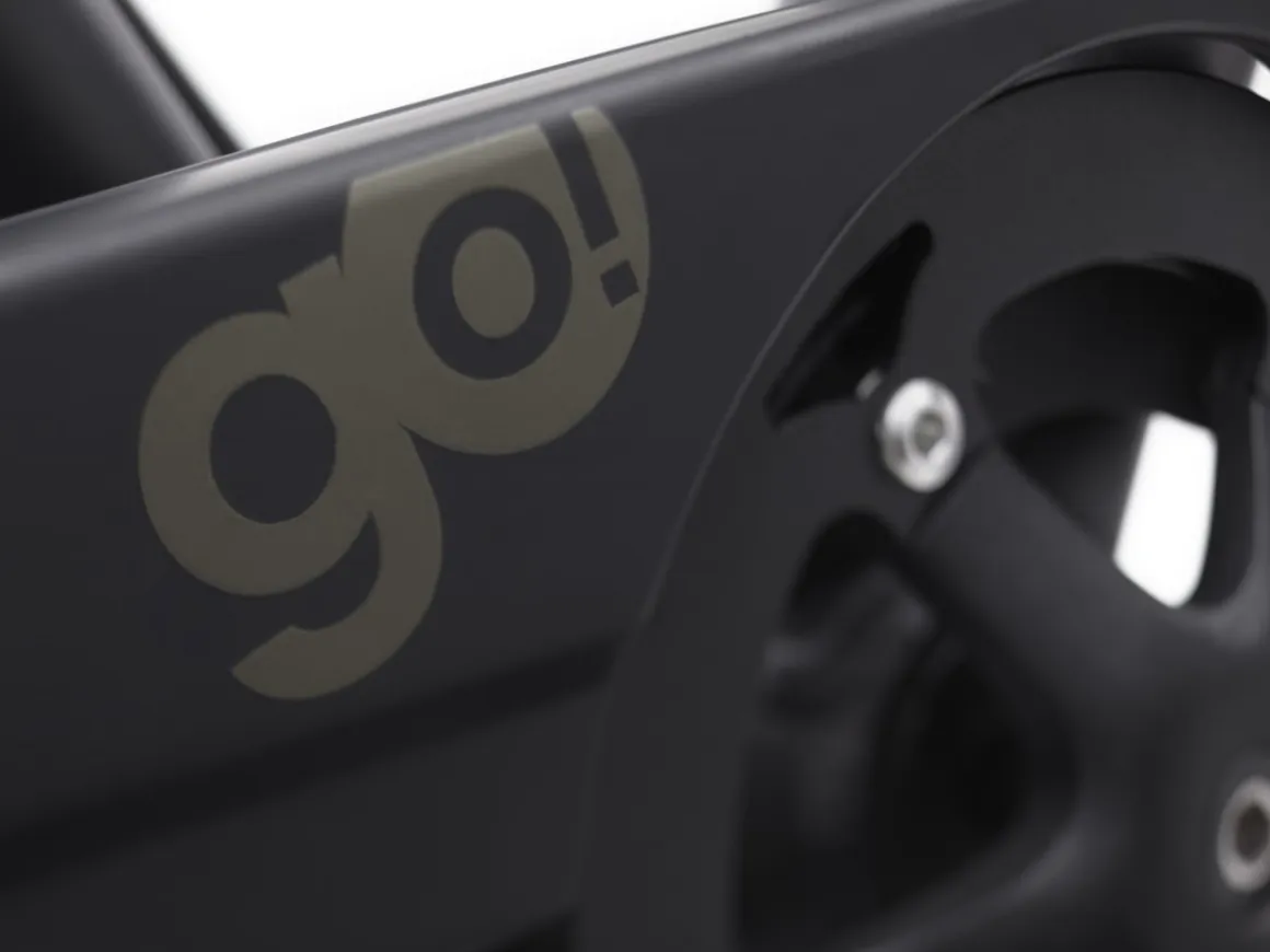 Trek Bikes Townie Go! 7D EQ Step-Over