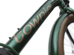 Trek Bikes Townie Go! 7D EQ Step-Over