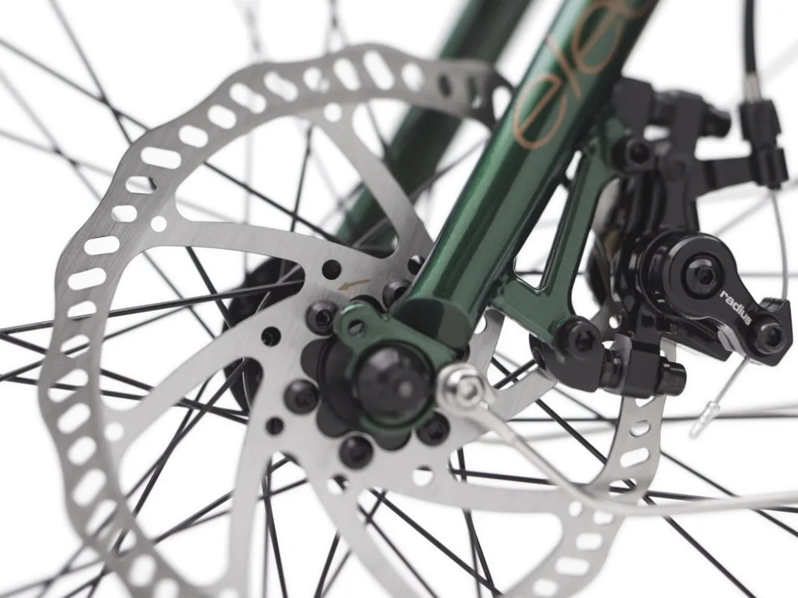 Trek Bikes Townie Go! 7D EQ Step-Over