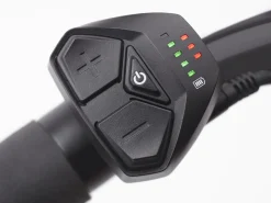 Trek Bikes Townie Go! 7D EQ Step-Over