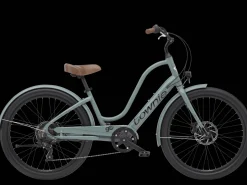 Trek Bikes Townie Go! 7D EQ Step-Thru