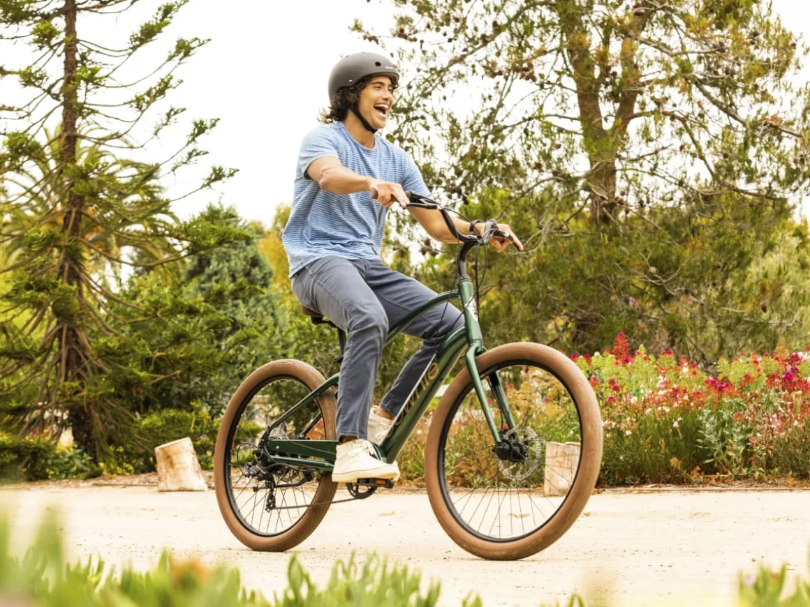 Trek Bikes Townie Go! 7D Step-Over