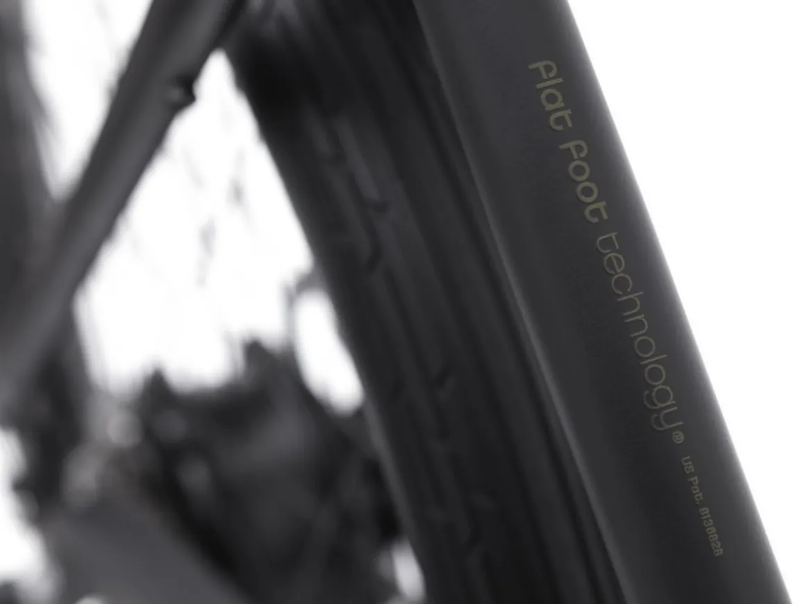 Trek Bikes Townie Go! 7D Step-Over
