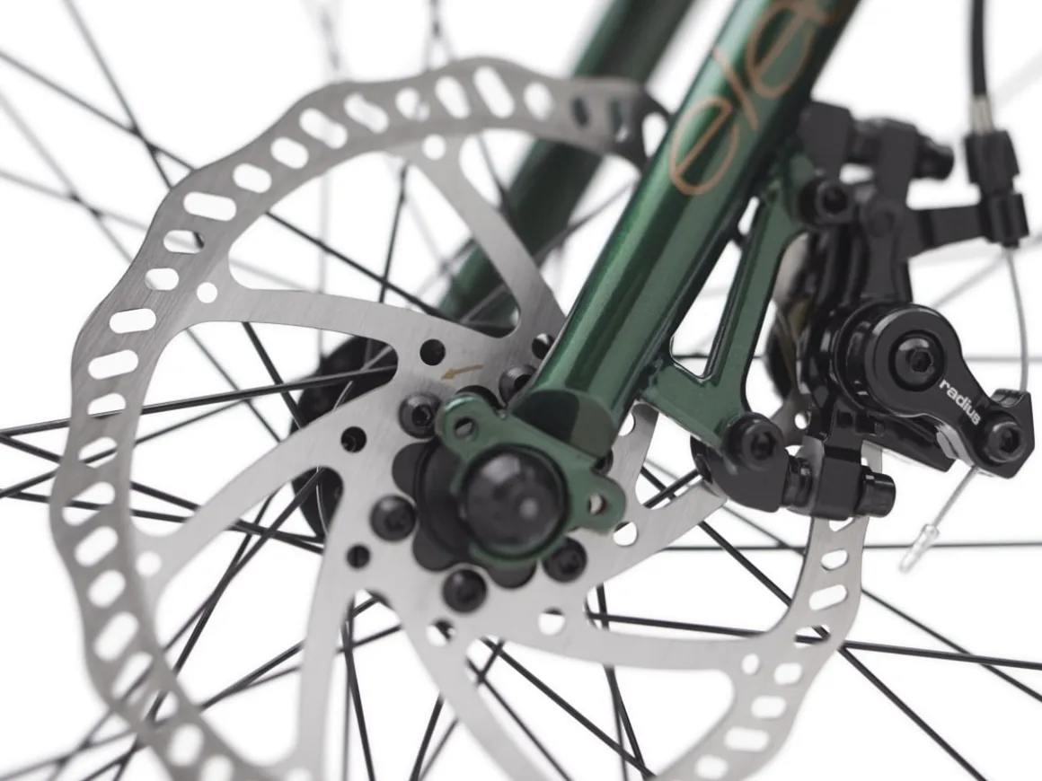 Trek Bikes Townie Go! 7D Step-Over