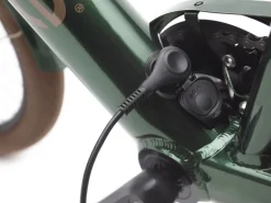 Trek Bikes Townie Go! 7D Step-Over