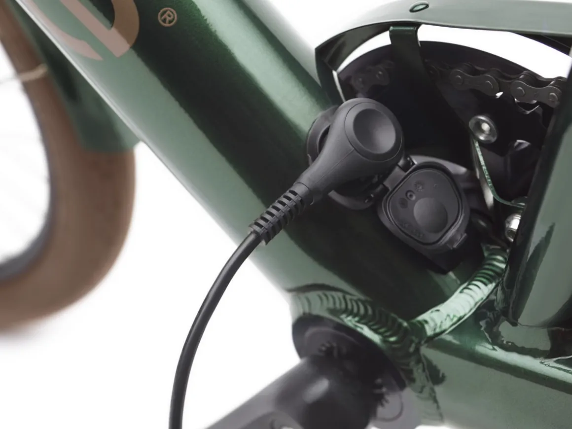 Trek Bikes Townie Go! 7D Step-Over