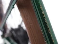 Trek Bikes Townie Go! 7D Step-Over