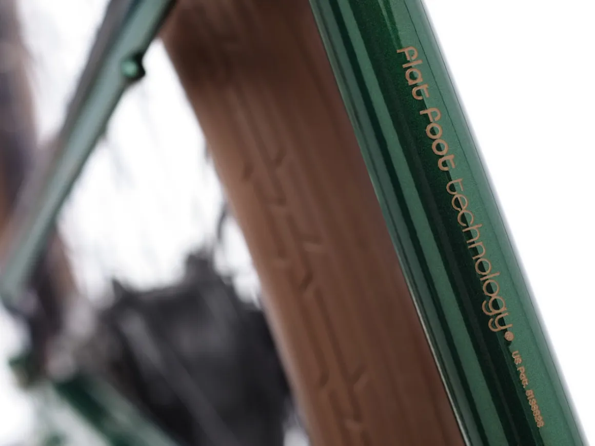 Trek Bikes Townie Go! 7D Step-Over