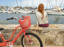 Trek Bikes Townie Go! 7D Step-Thru