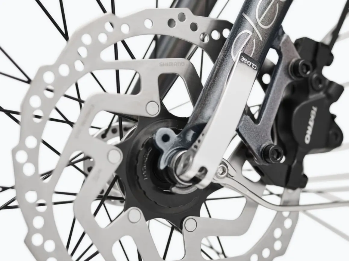 Trek Bikes Townie Go! 5i EQ Step-Over