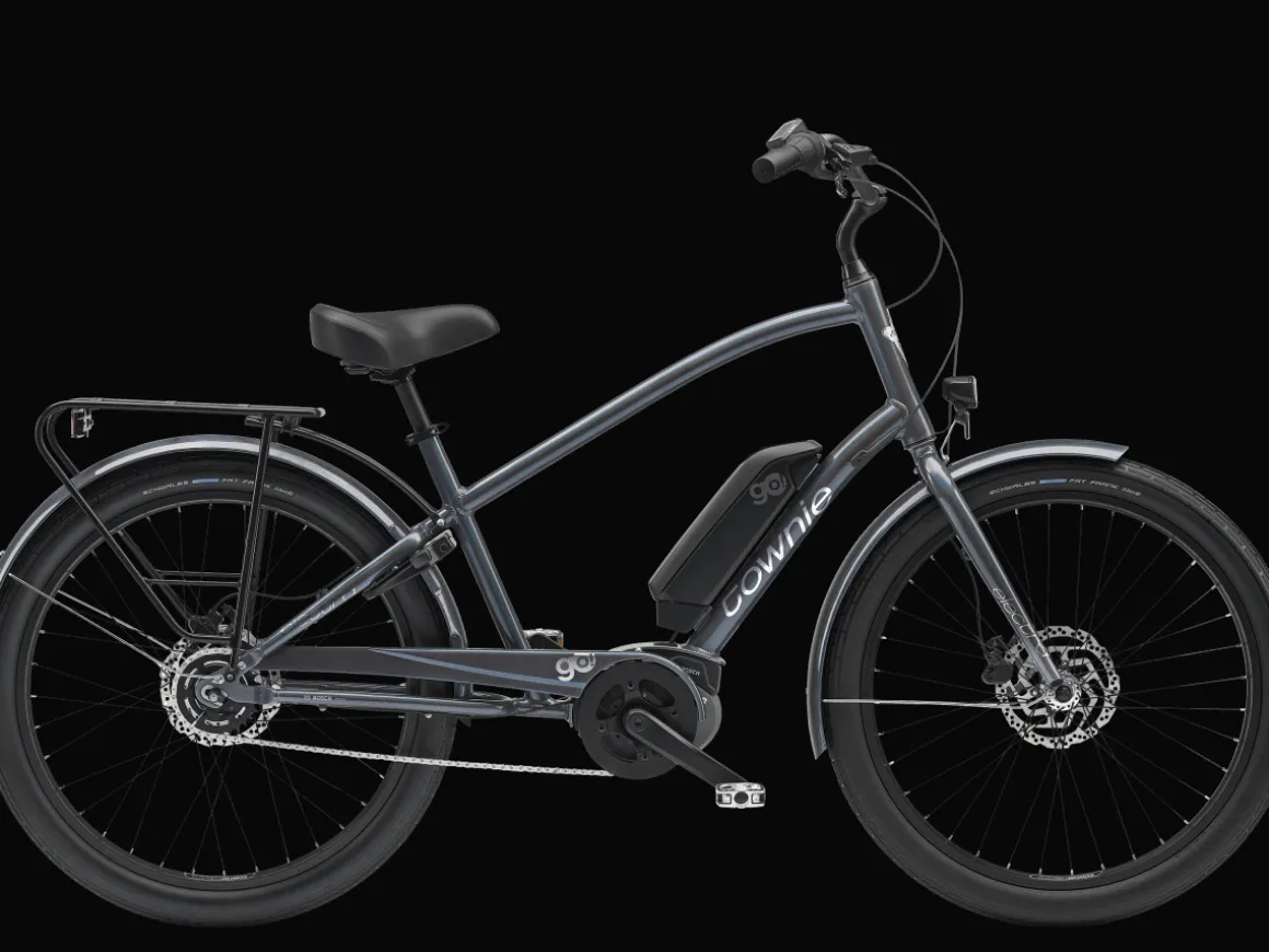 Trek Bikes Townie Go! 5i EQ Step-Over