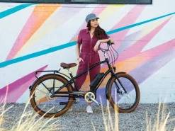Trek Bikes Townie Go! 5i EQ Step-Over