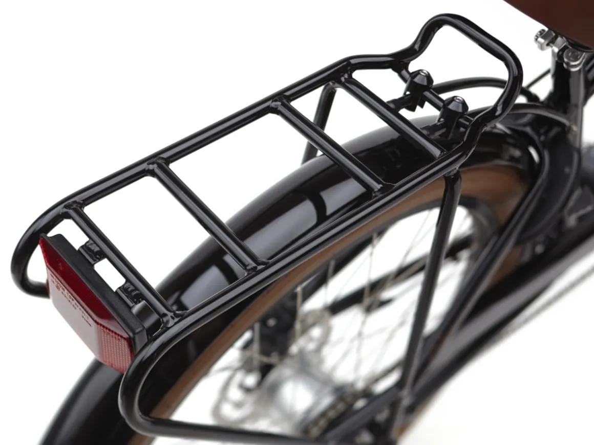 Trek Bikes Townie Go! 5i EQ Step-Over