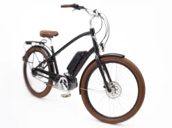 Trek Bikes Townie Go! 5i EQ Step-Over
