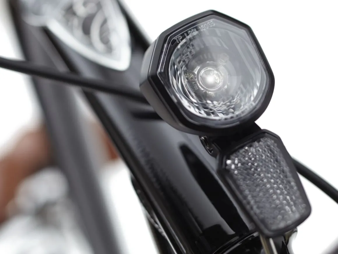Trek Bikes Townie Go! 5i EQ Step-Over