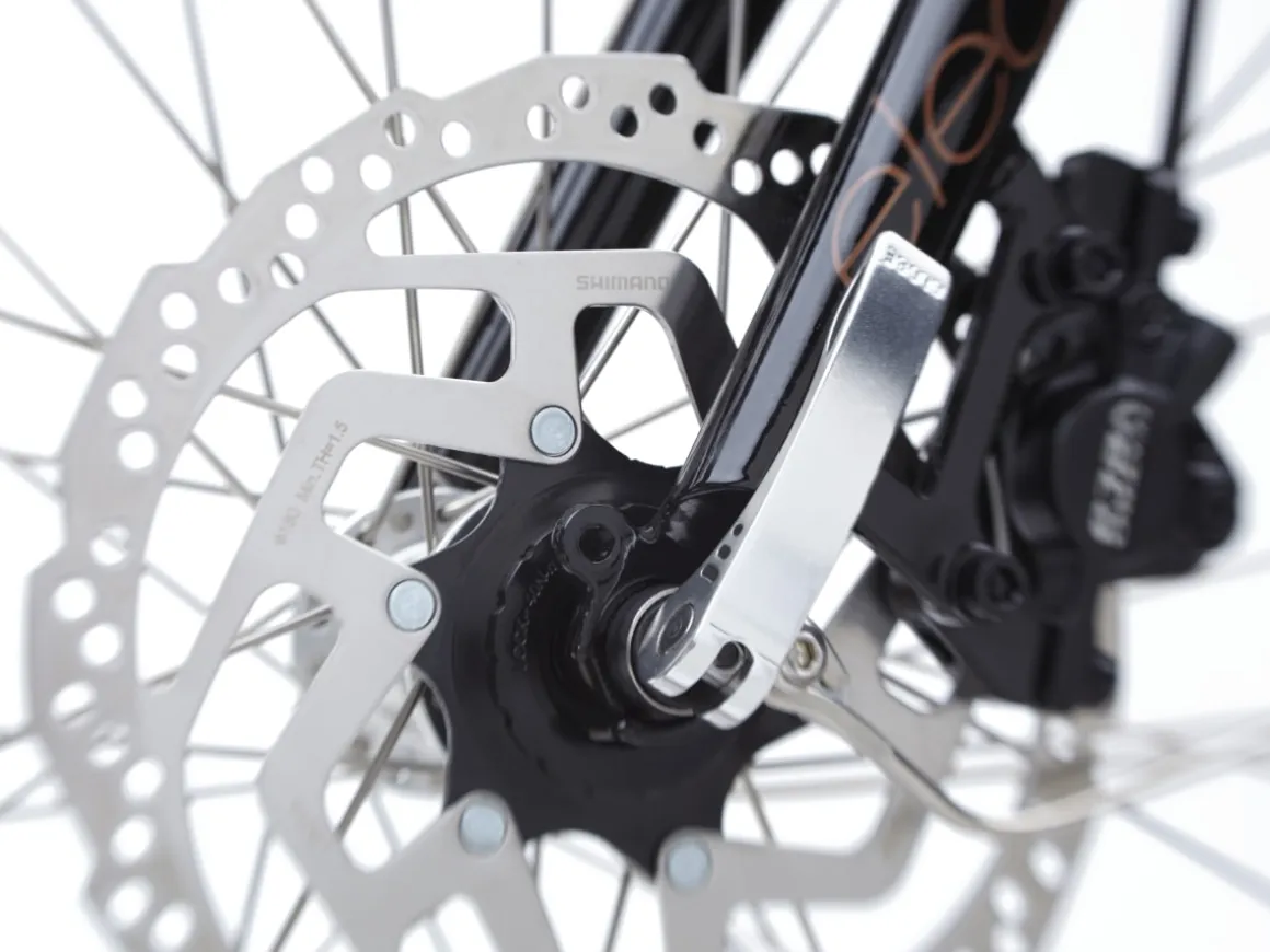 Trek Bikes Townie Go! 5i EQ Step-Over