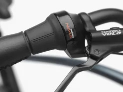 Trek Bikes Townie Go! 5i EQ Step-Over