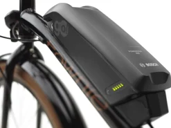 Trek Bikes Townie Go! 5i EQ Step-Over