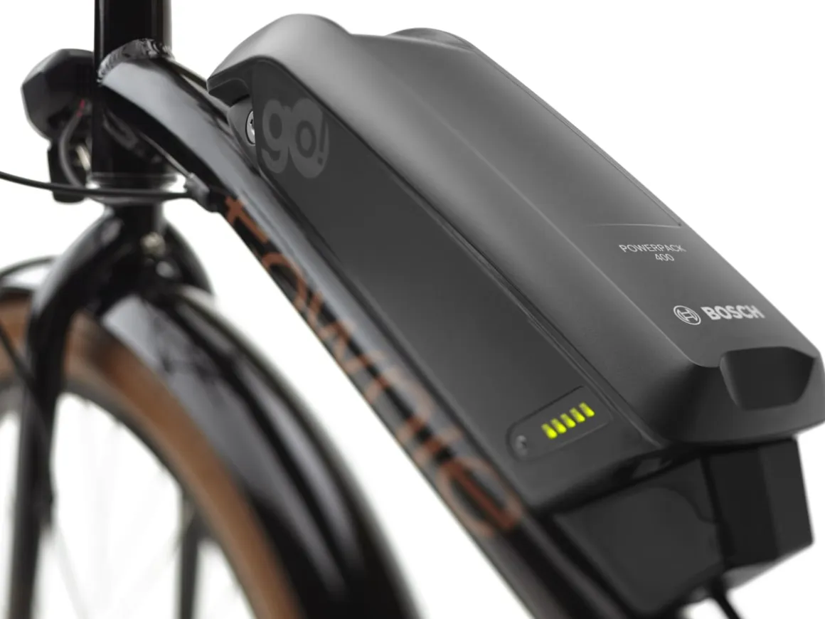 Trek Bikes Townie Go! 5i EQ Step-Over