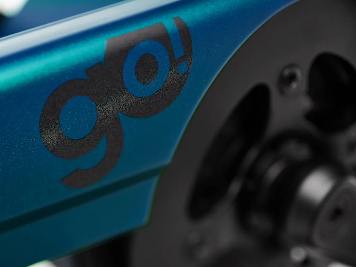 Trek Bikes Townie Go! 5i EQ Step-Over