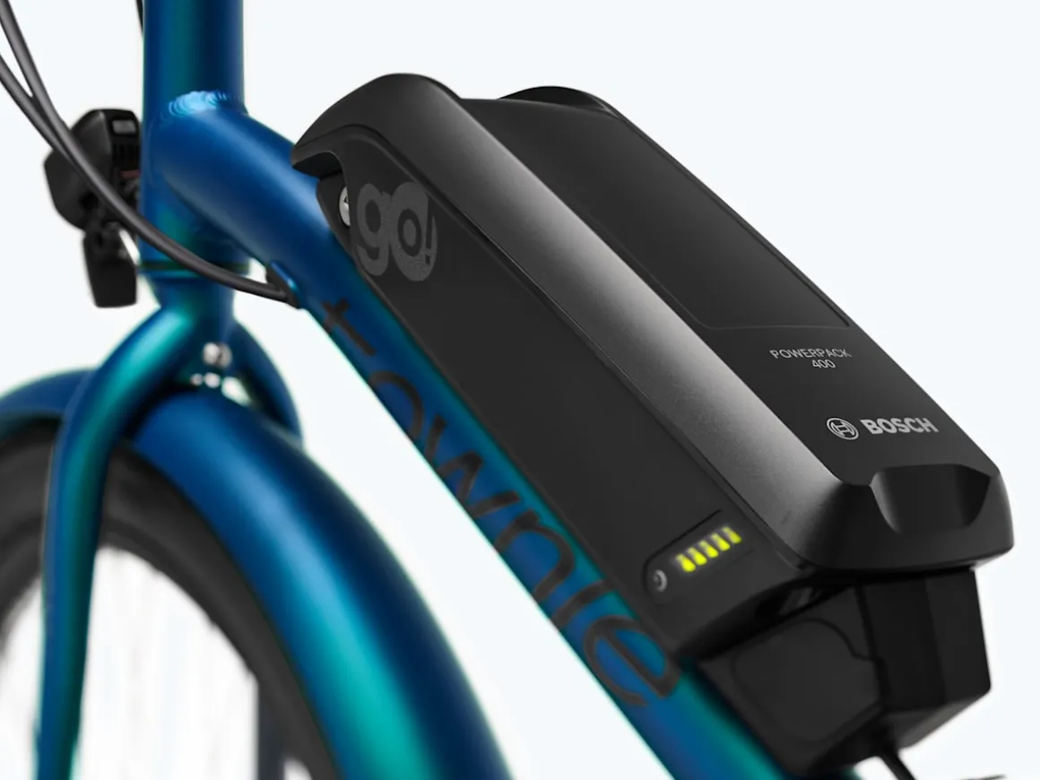 Trek Bikes Townie Go! 5i EQ Step-Over