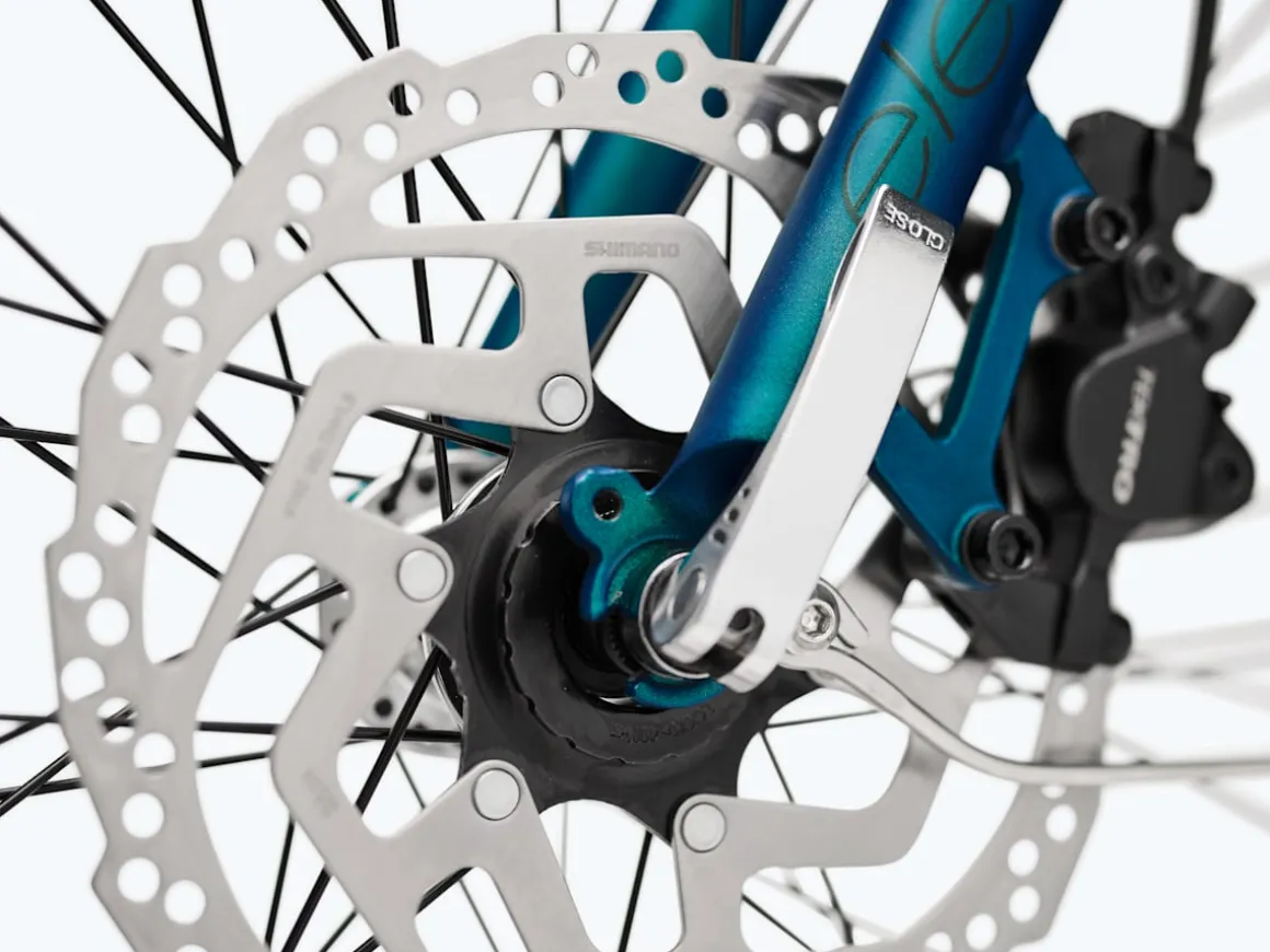 Trek Bikes Townie Go! 5i EQ Step-Over