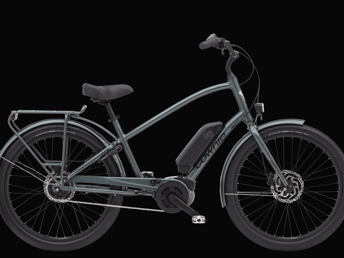 Trek Bikes Townie Go! 5i EQ Step-Over