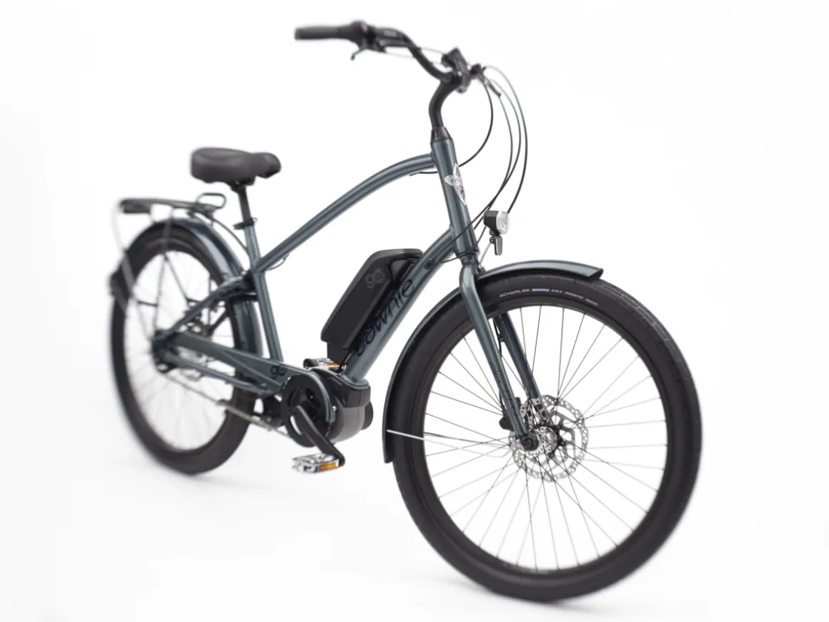 Trek Bikes Townie Go! 5i EQ Step-Over