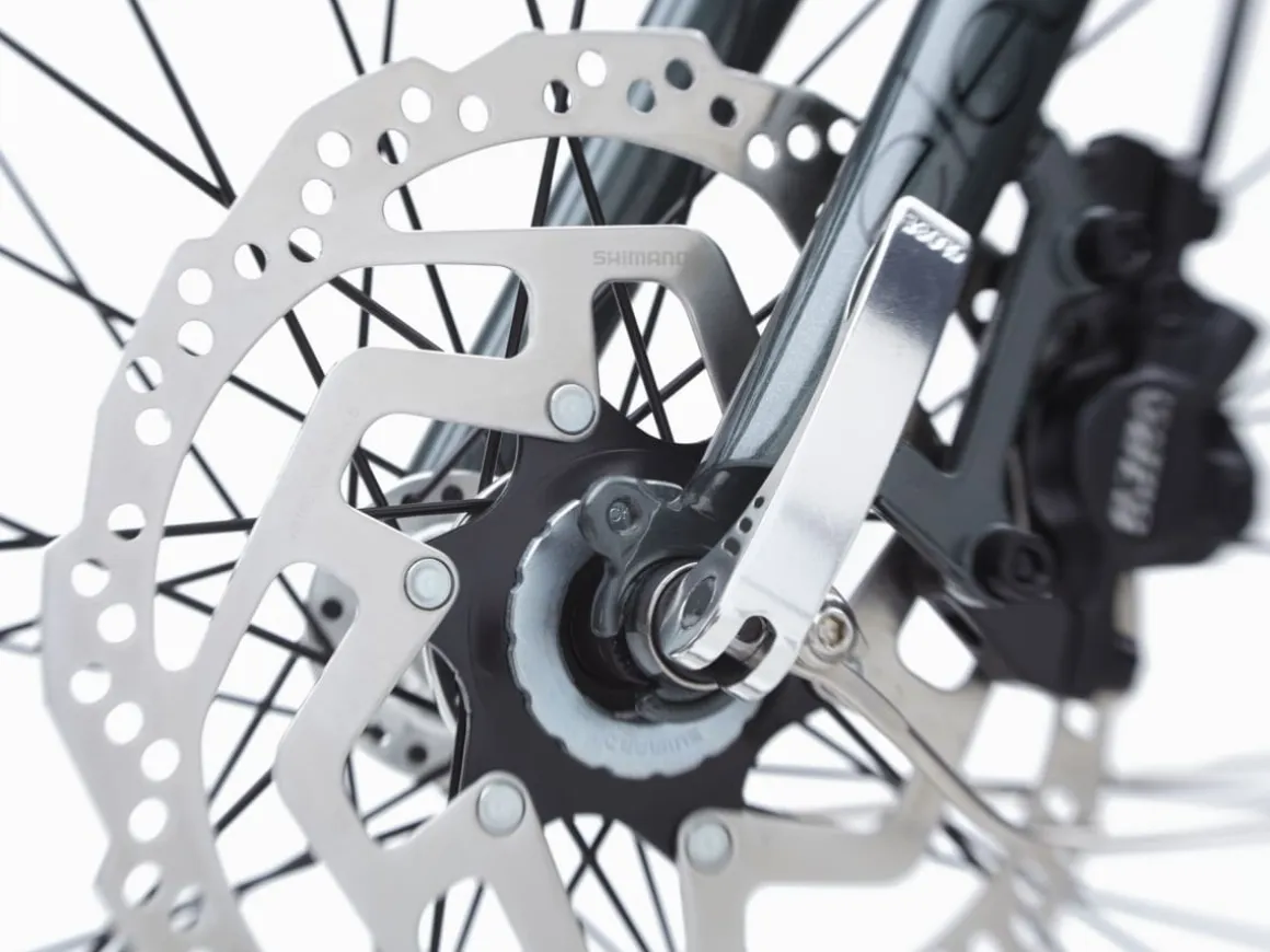 Trek Bikes Townie Go! 5i EQ Step-Over