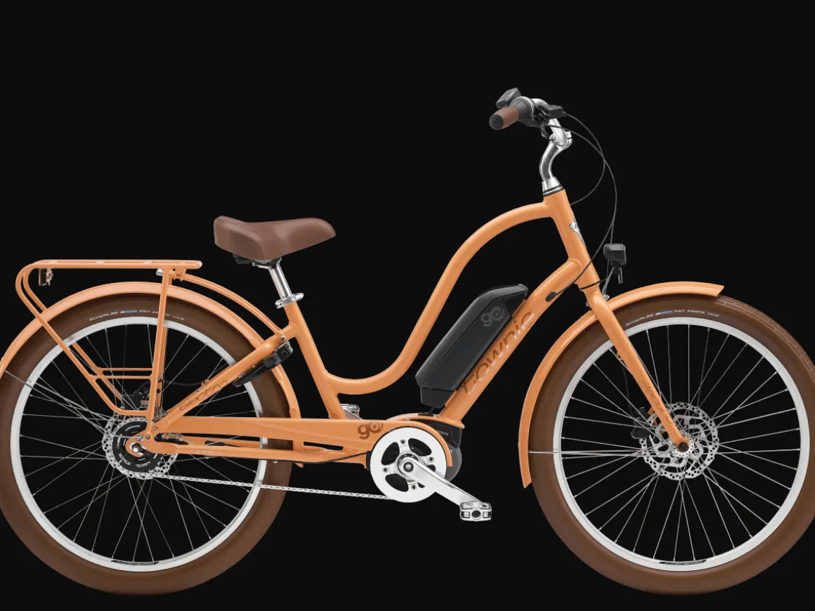 Trek Bikes Townie Go! 5i EQ Step-Thru