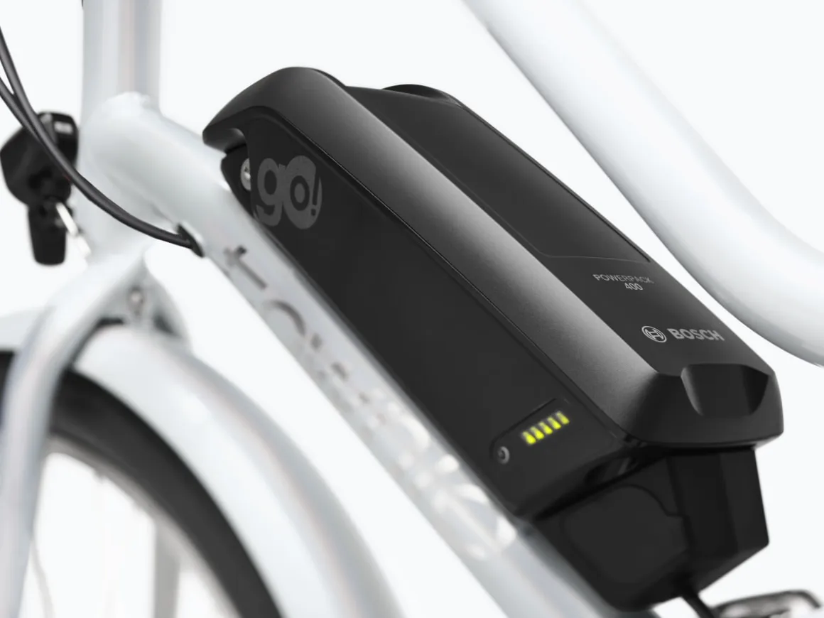 Trek Bikes Townie Go! 5i EQ Step-Thru