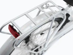 Trek Bikes Townie Go! 5i EQ Step-Thru