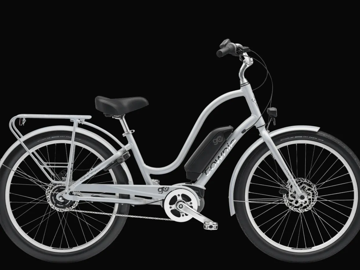 Trek Bikes Townie Go! 5i EQ Step-Thru