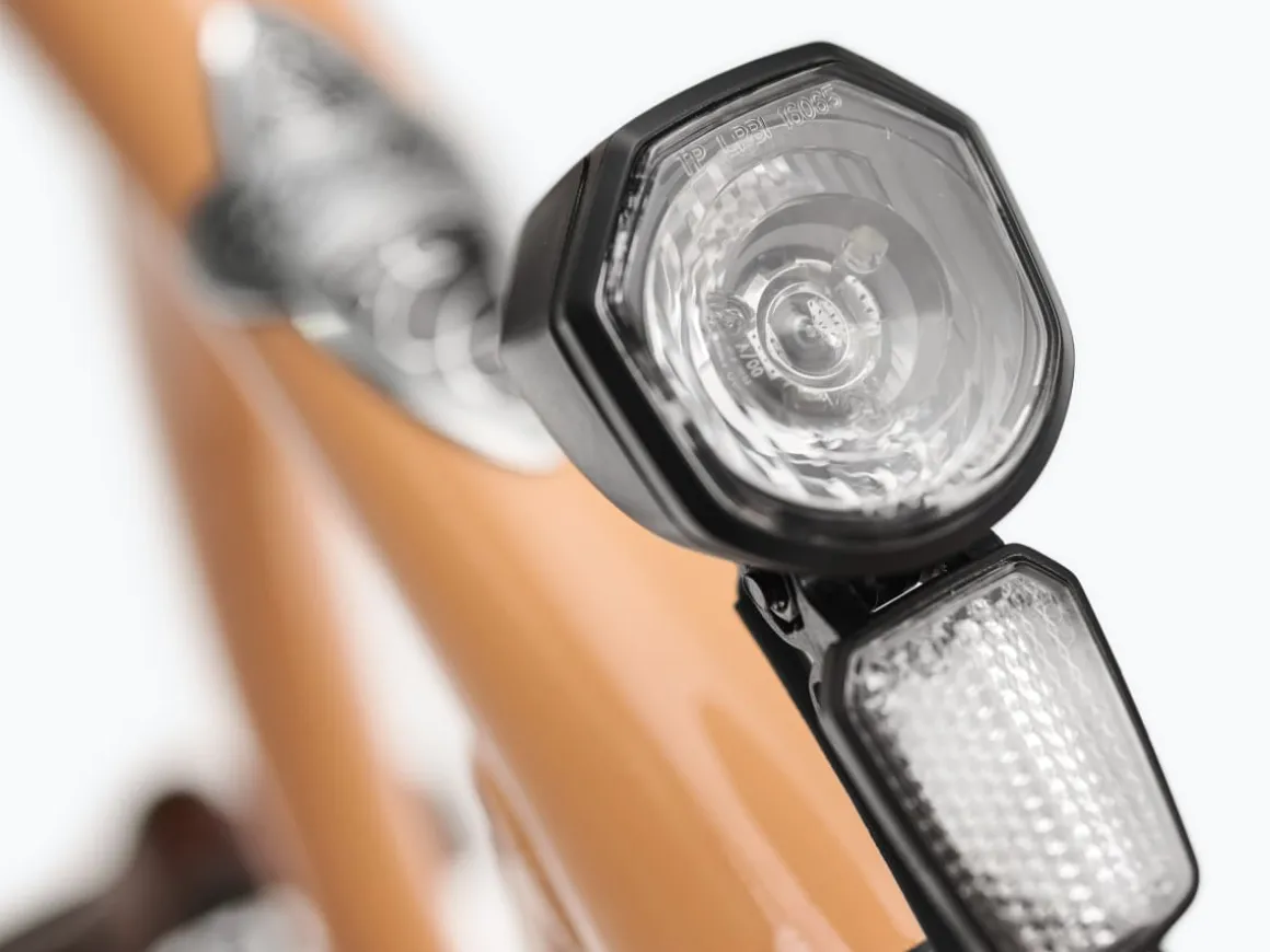 Trek Bikes Townie Go! 5i EQ Step-Thru