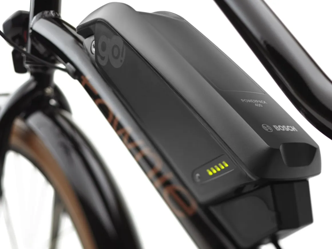 Trek Bikes Townie Go! 5i EQ Step-Thru