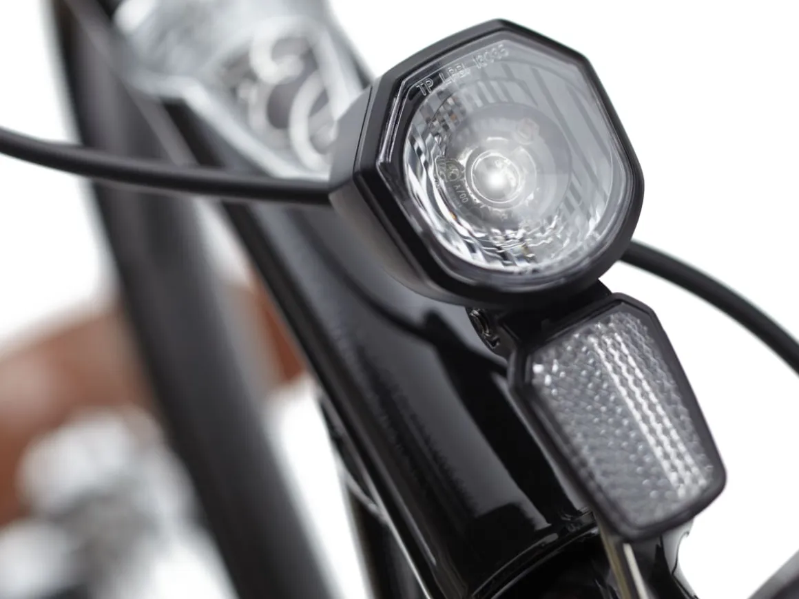 Trek Bikes Townie Go! 5i EQ Step-Thru