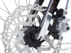 Trek Bikes Townie Go! 5i EQ Step-Thru