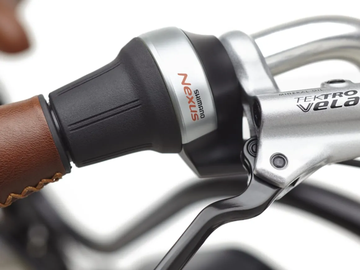 Trek Bikes Townie Go! 5i EQ Step-Thru