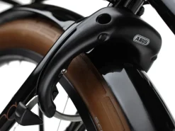 Trek Bikes Townie Go! 5i EQ Step-Thru