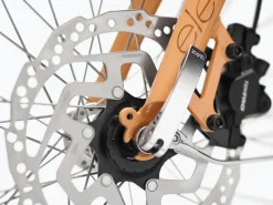 Trek Bikes Townie Go! 5i EQ Step-Thru