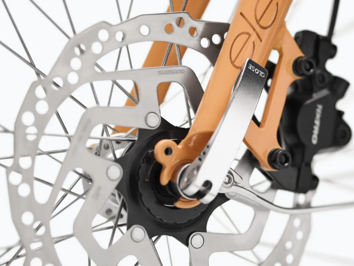 Trek Bikes Townie Go! 5i EQ Step-Thru