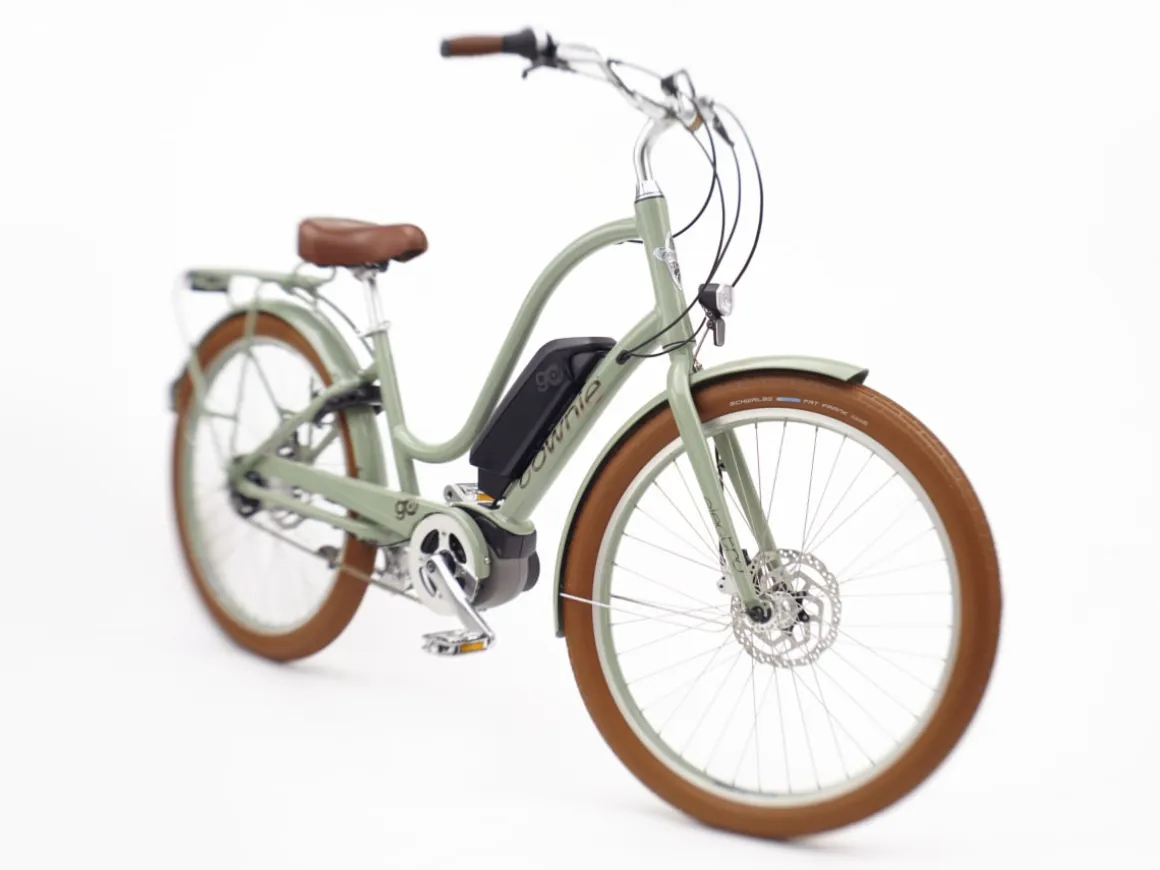 Trek Bikes Townie Go! 5i EQ Step-Thru